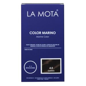 Kit Color Marino 4.0 Castaño La Caja Azul LA MOTA